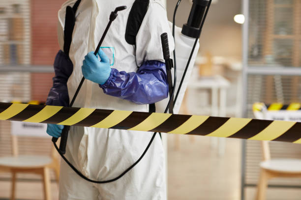 Professional Sewage Cleanup technician working in London, KY